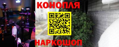 шишки Новозыбков