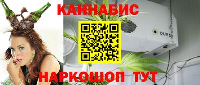 стаф Новодвинск