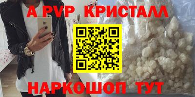 стаф Новодвинск