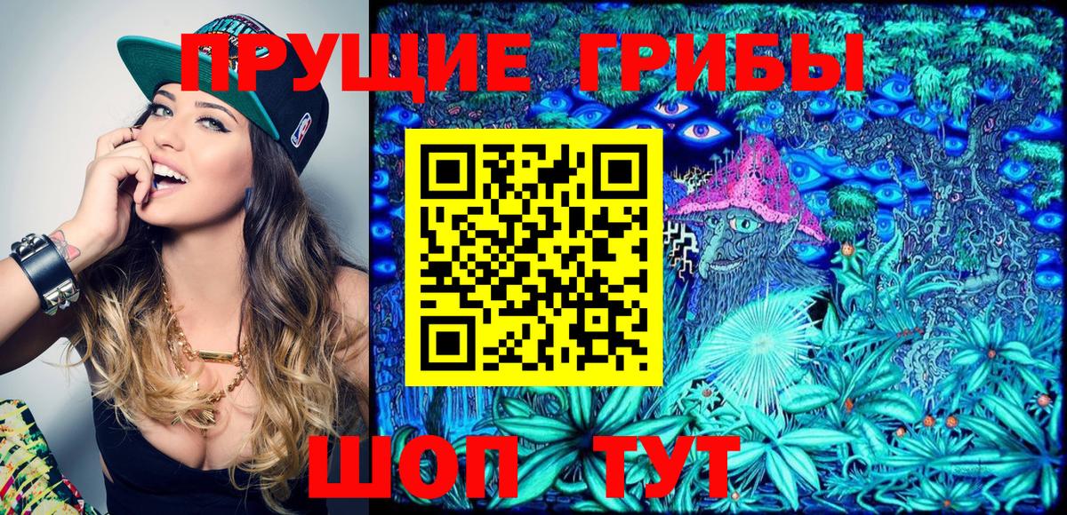 Псилоцибиновые грибы Psilocybe Шелехов