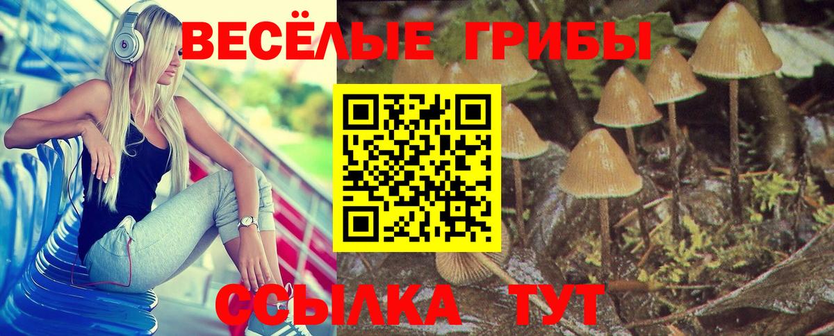 Галлюциногенные грибы MAGIC MUSHROOMS  Вход с VPN  Шелехов  Галлюциногенные грибы Psilocybine cubensis 